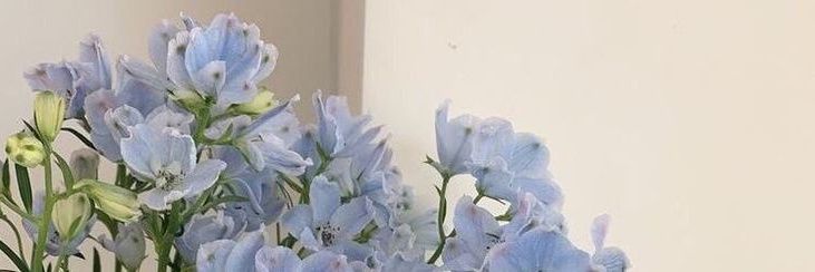 juesslyn's profile banner image