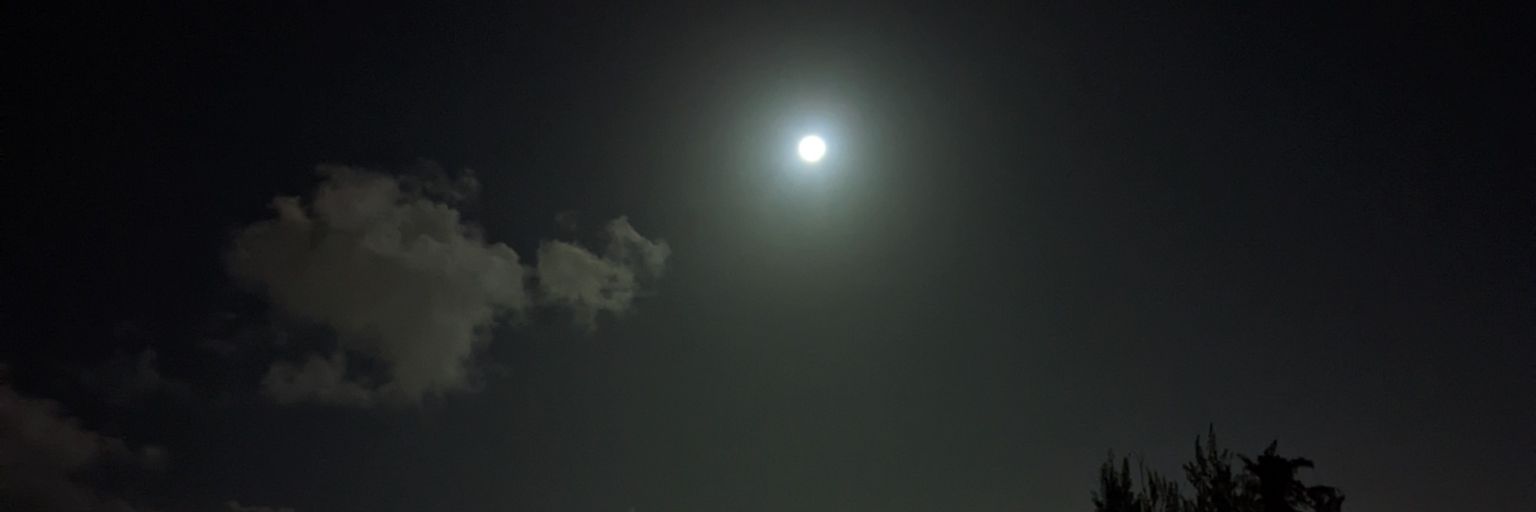 vishifishy's profile banner image