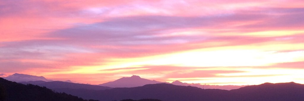 chinpui830's profile banner image