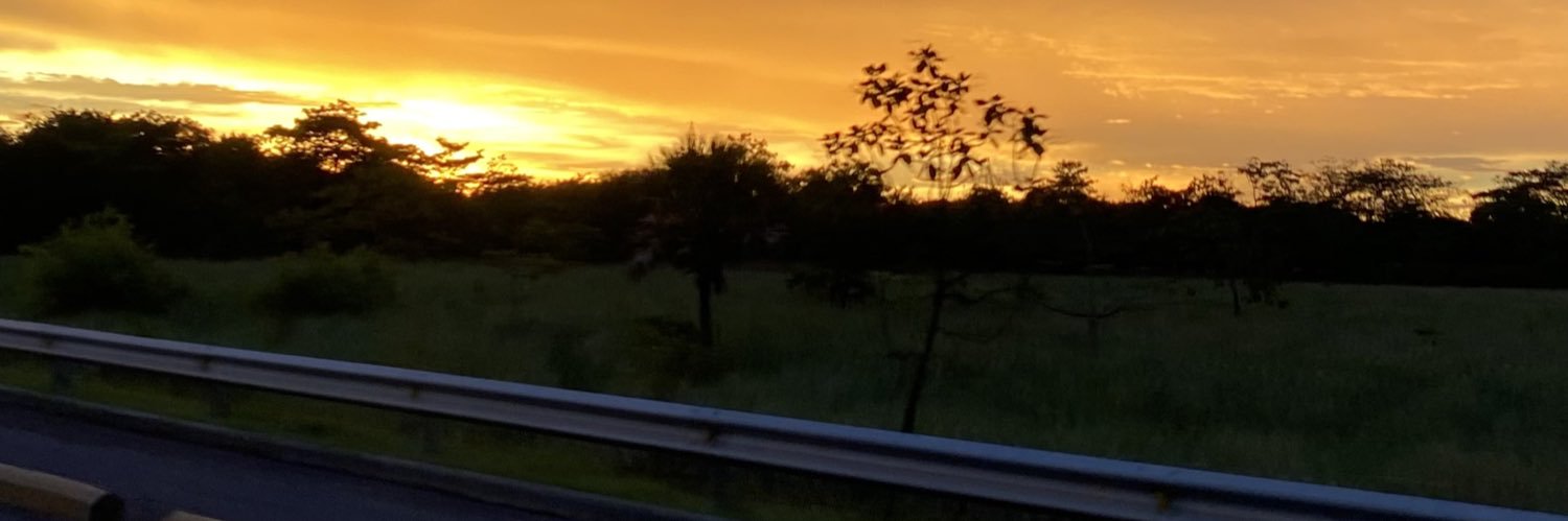 fabiotercerol's profile banner image