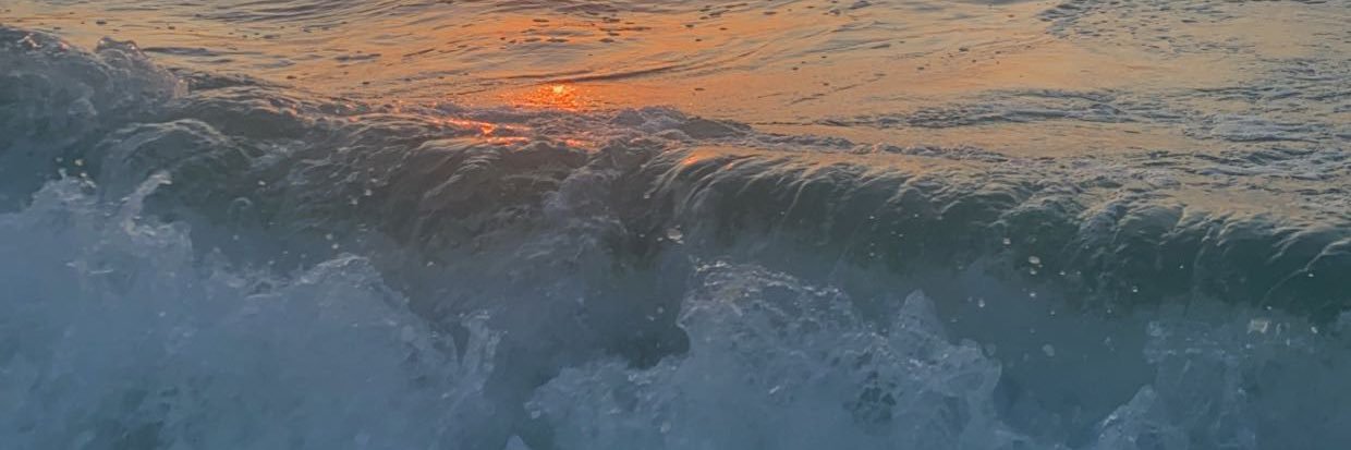 Roxanne_clancy's profile banner image