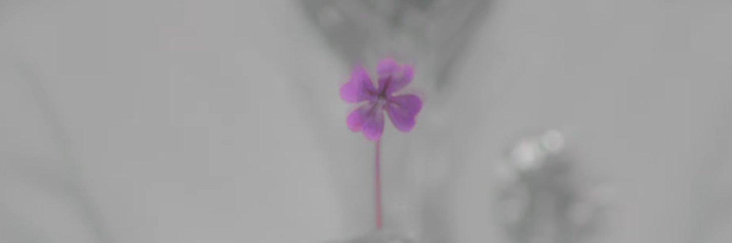 ꕤ ˚ ༘🍀⋆｡˚ banner