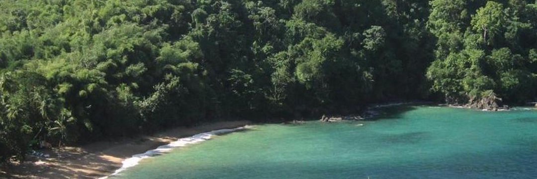 Cause We Travel banner