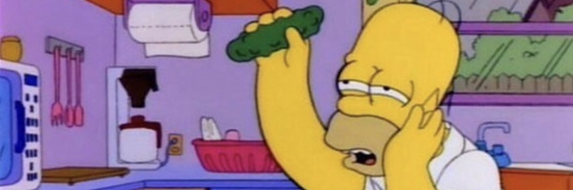 ugly bag of mostly water banner