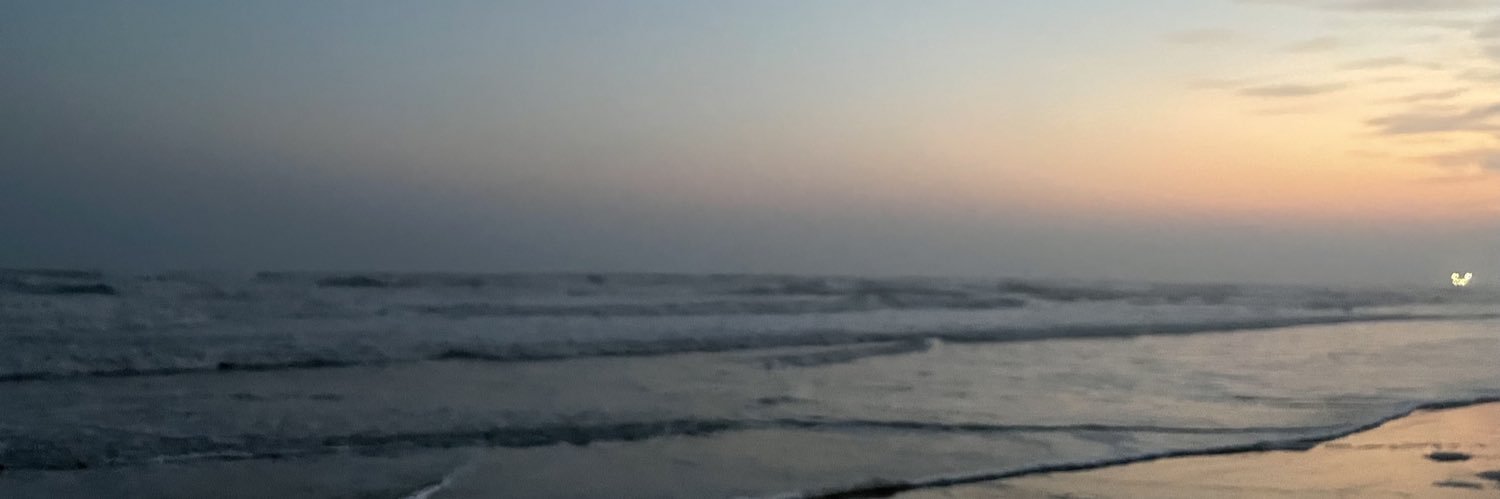 ismaelturtle's profile banner image