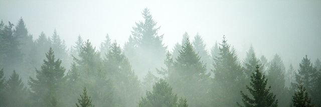 malia_pedro's profile banner image