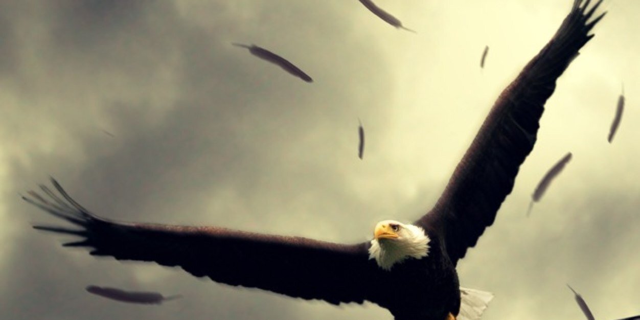 CouchTyrell's profile banner image
