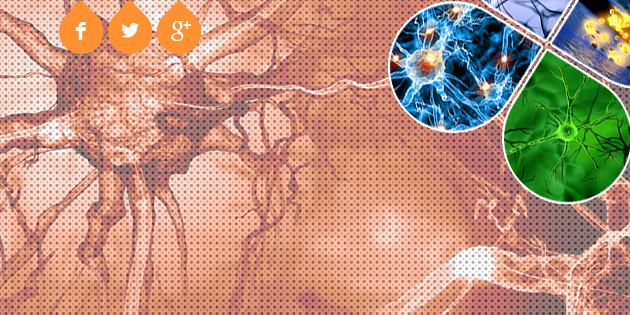 ChoiLaboratory's profile banner image