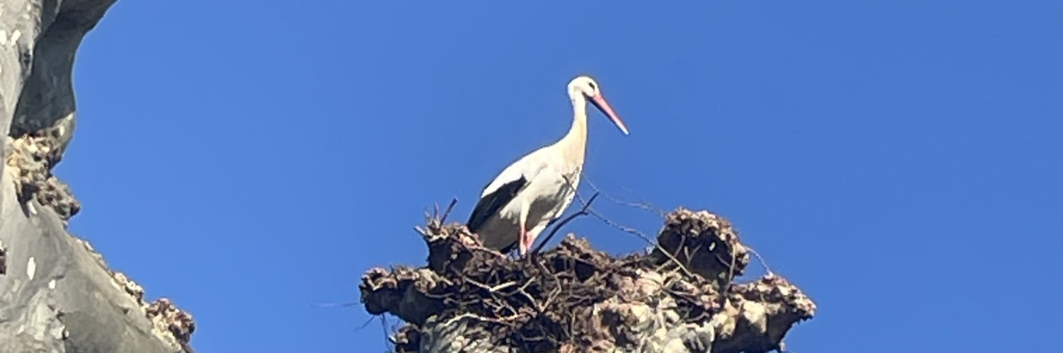 hasida chaotique et vnr banner