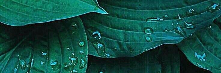 SirBrianTurner's profile banner image
