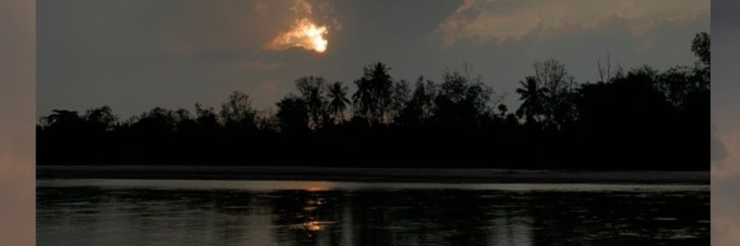ninadityaa's profile banner image