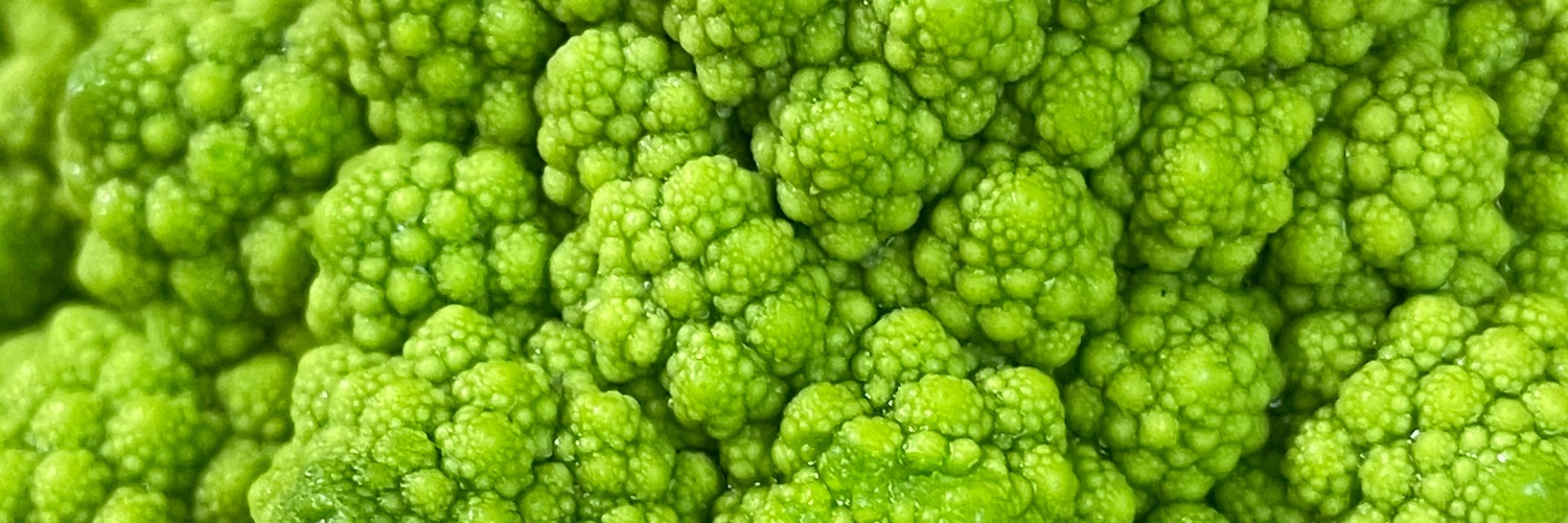 aggressive nipples 🌿✨ banner