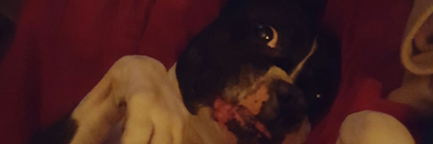 samkingsolver's profile banner image