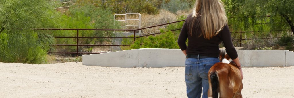 KimberlyMeagher's profile banner image