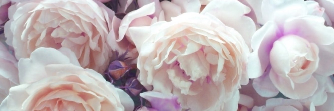 nazaretp's profile banner image