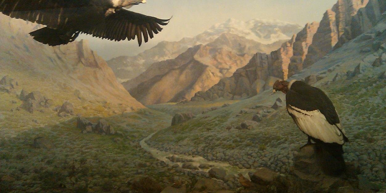 TheTuskBlog's profile banner image
