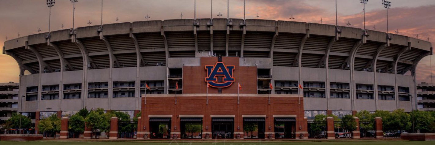 Ace 🦅's banner