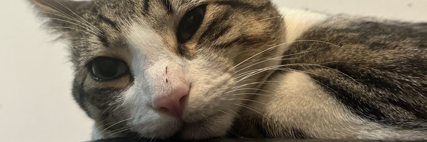 Esteban Porras banner