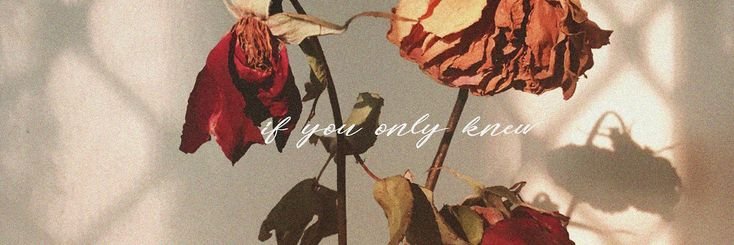 𝑲𝑎𝑖𝑎. banner