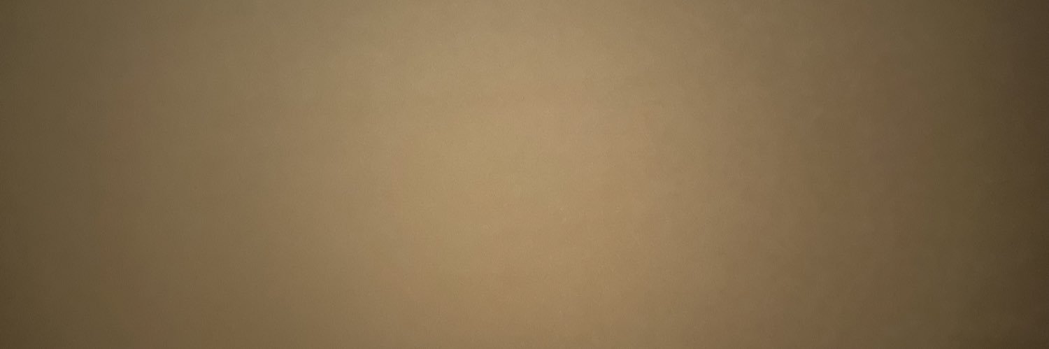TheRealoPod's profile banner image