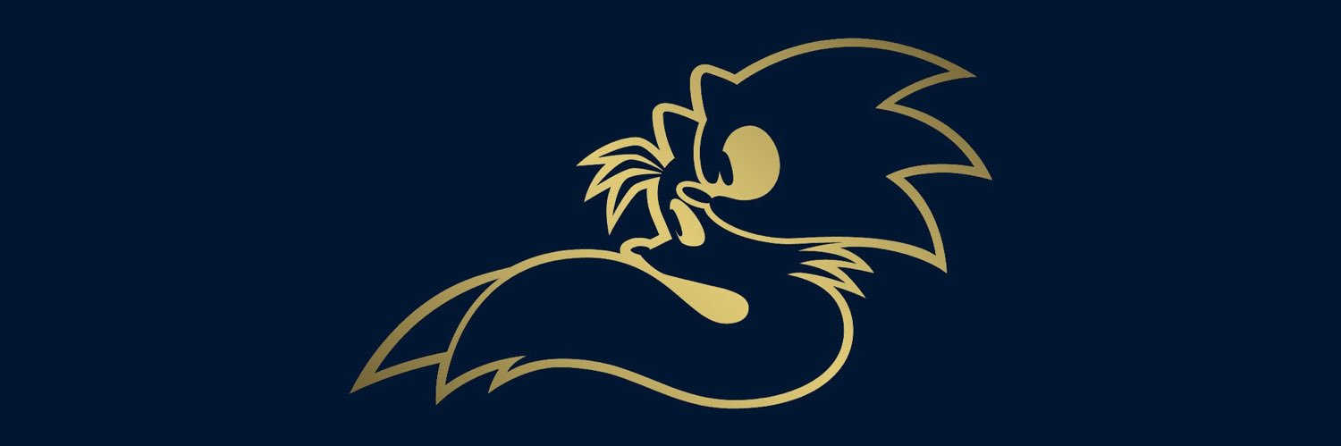 thahedgehog's profile banner image