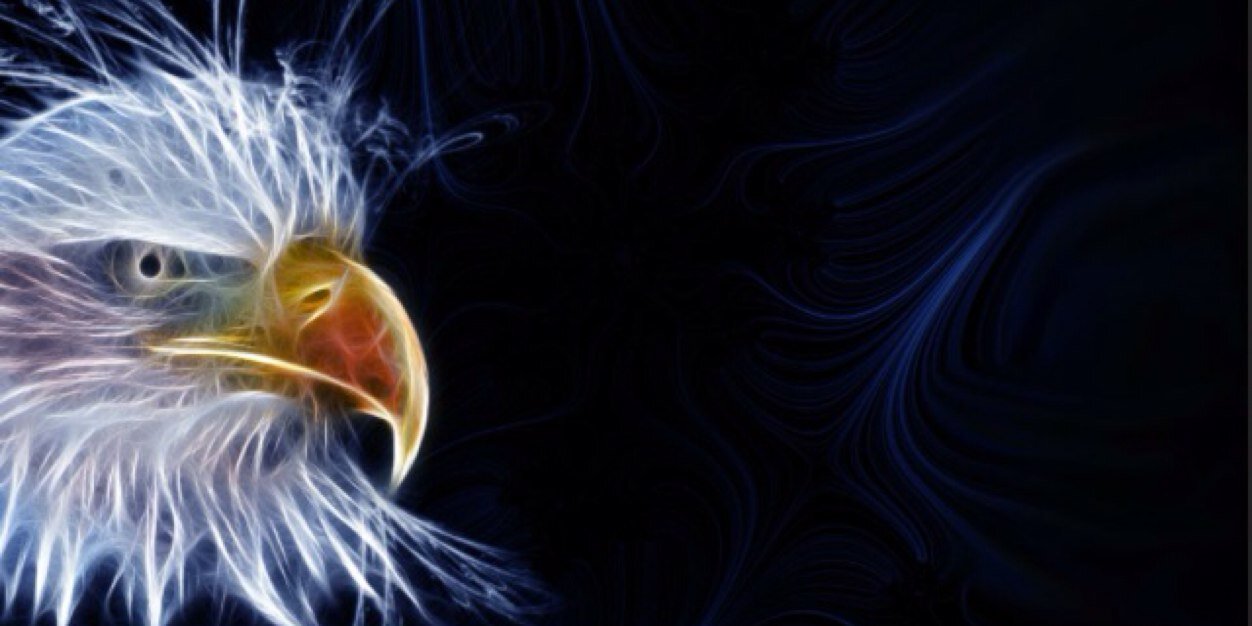 baldeagles2's profile banner image