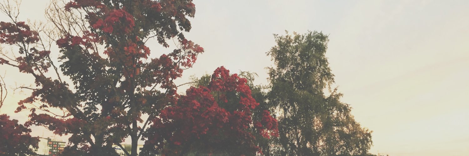bergstromalva's profile banner image