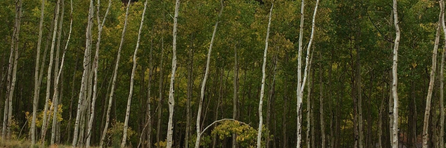 MorgDizzle3's profile banner image