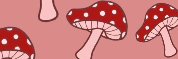 Madie426's profile banner image