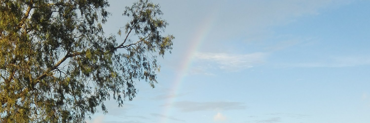 Bianka9110's profile banner image
