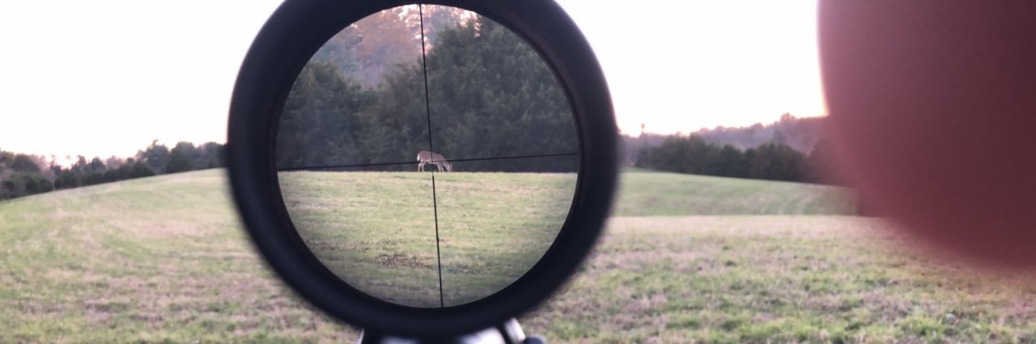 lanetomss's profile banner image
