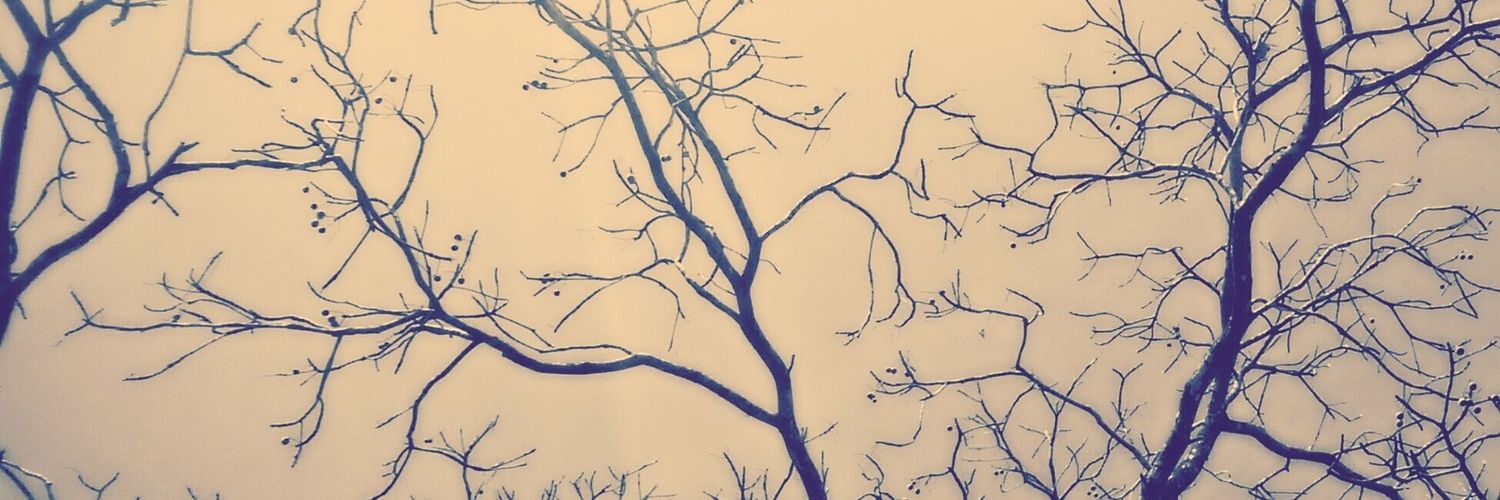 bolalini's profile banner image