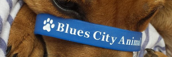 Blues City Rescue Profile Banner
