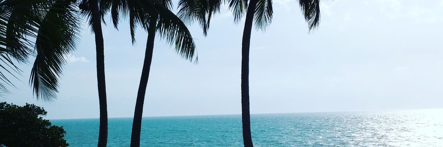 AnaHinterholzer's profile banner image