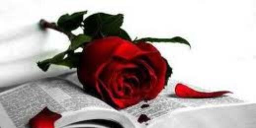 اشواك الورد banner