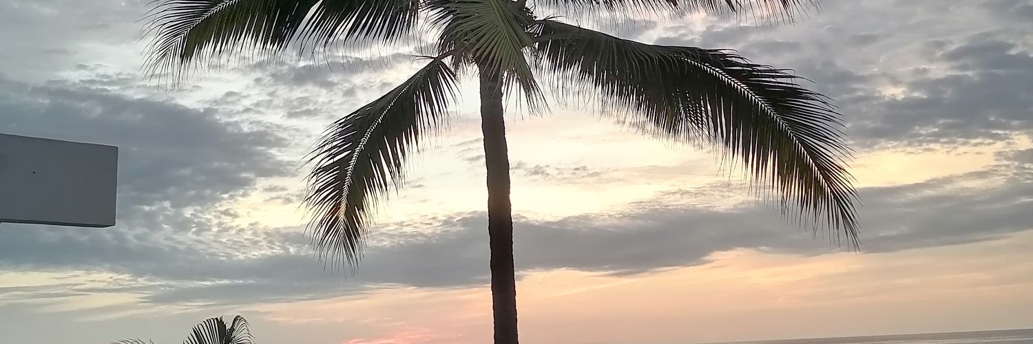 migdelva's profile banner image