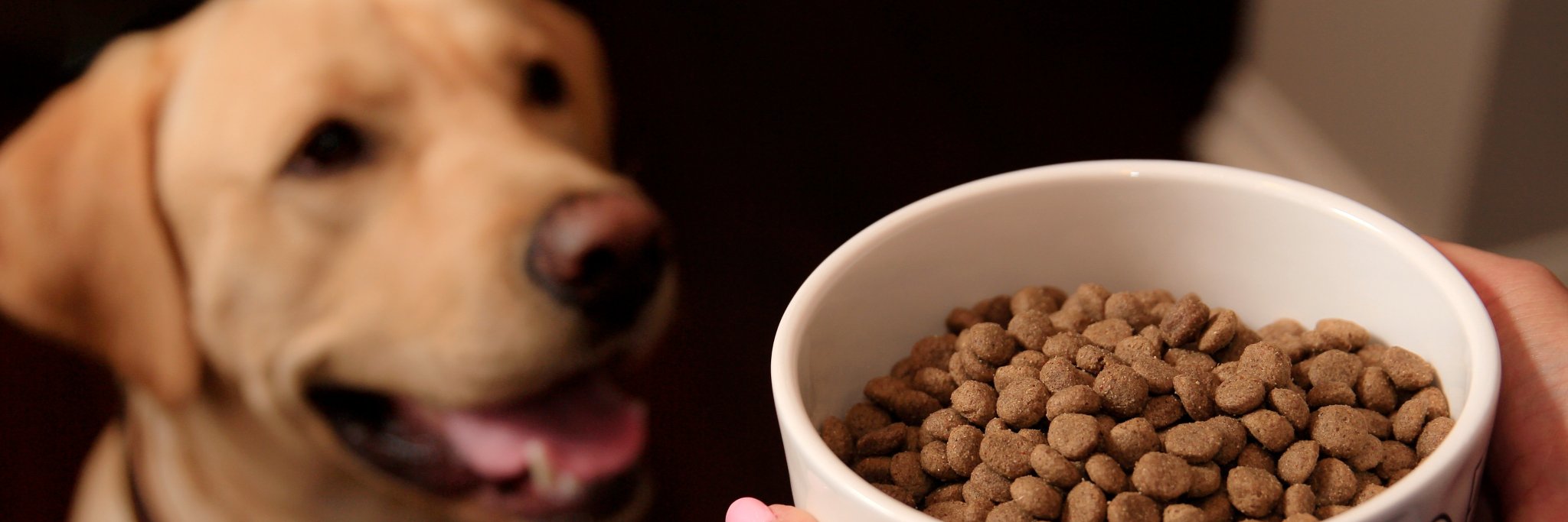 Nature's Select Pet Food banner