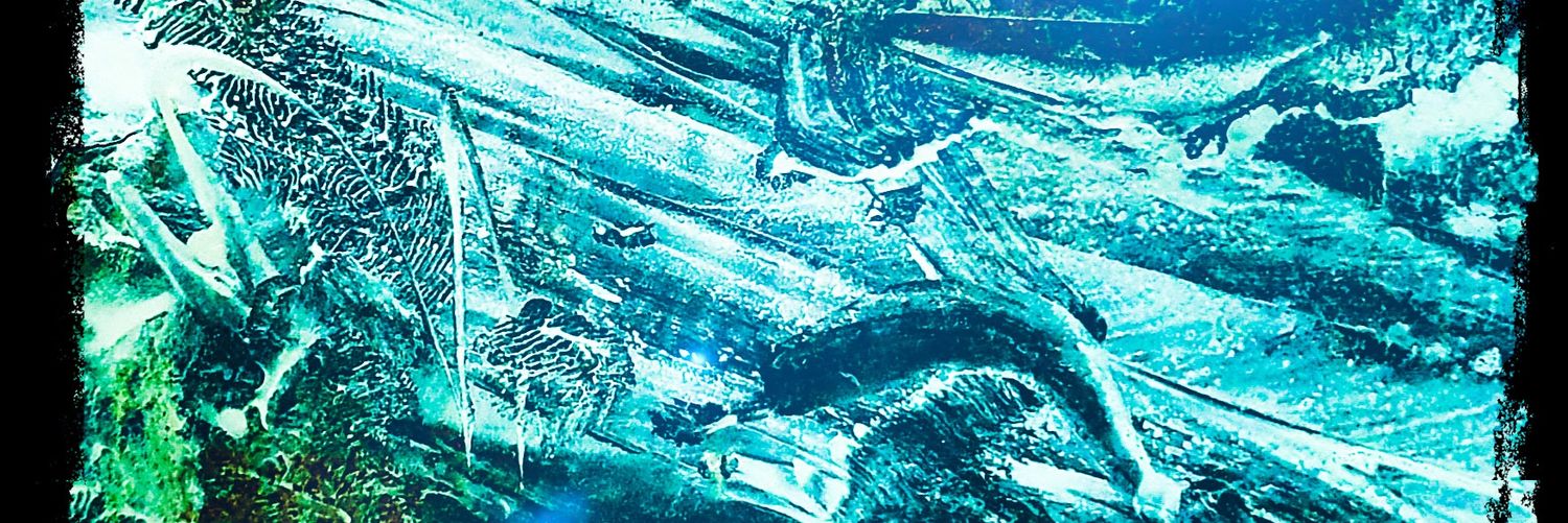 Cinevoro banner