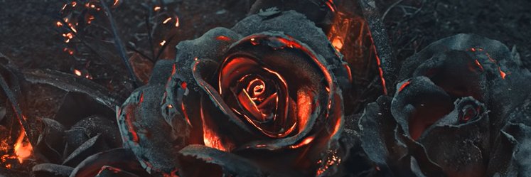 master_malii's profile banner image