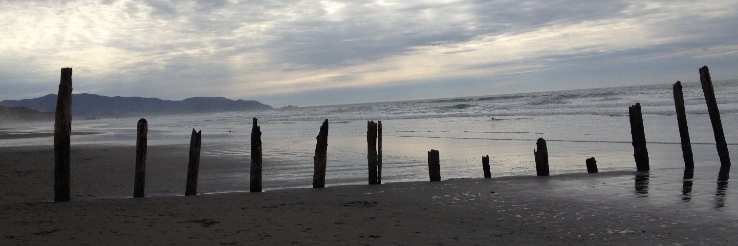 Patrick Reinsborough is @giantwhispers.bsky.social banner