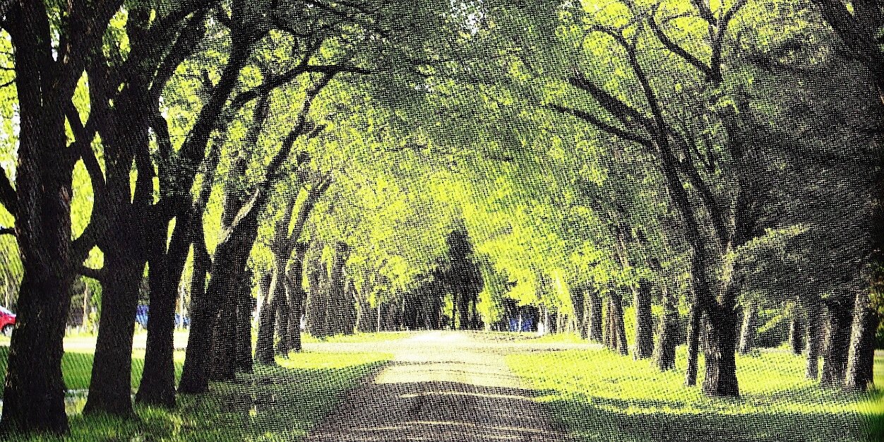 the ECOreport banner