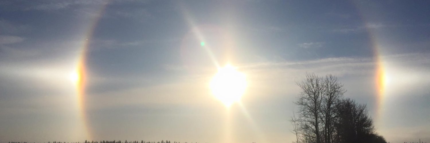 pattyovel's profile banner image