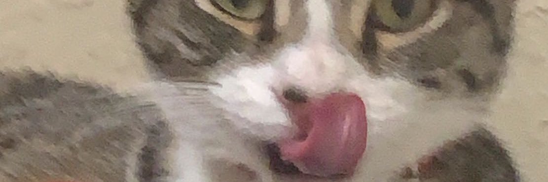 joeejooo's profile banner image