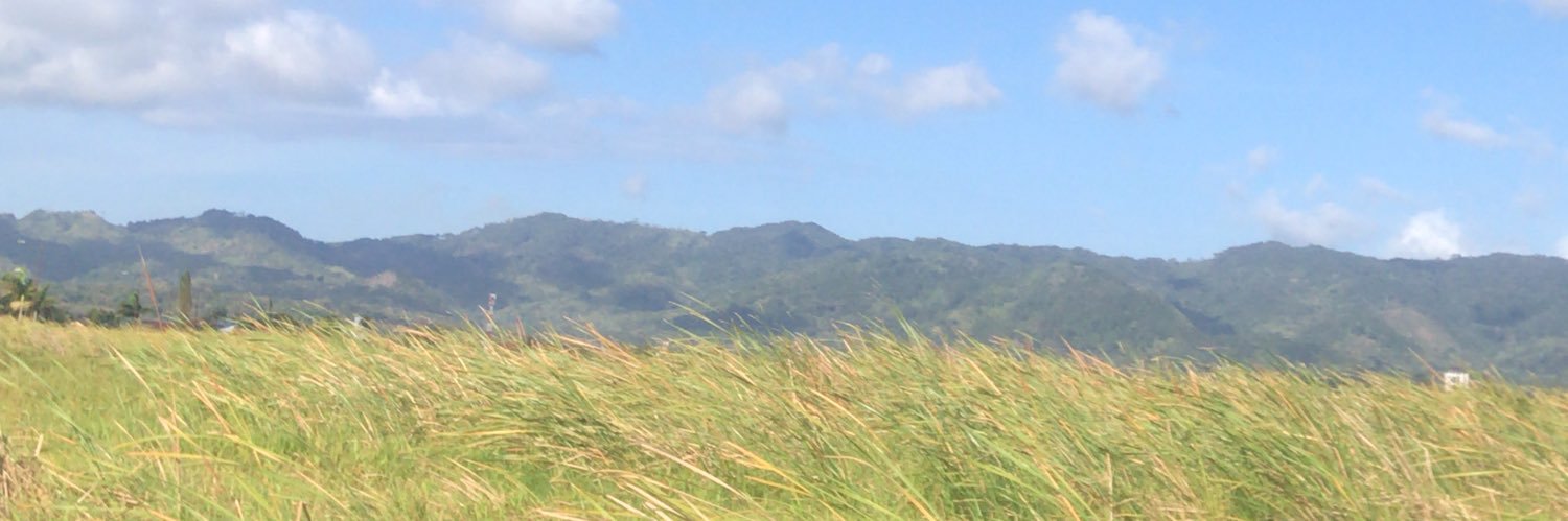 syeyon's profile banner image