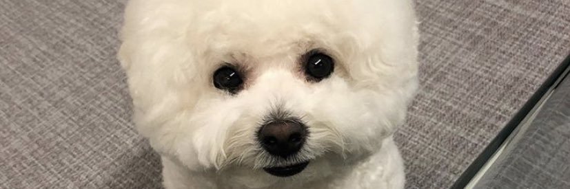 ym2w1's profile banner image
