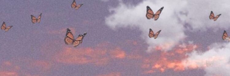 JerrisshaJ's profile banner image