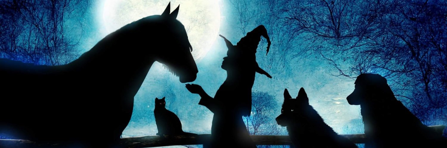 Linavet banner