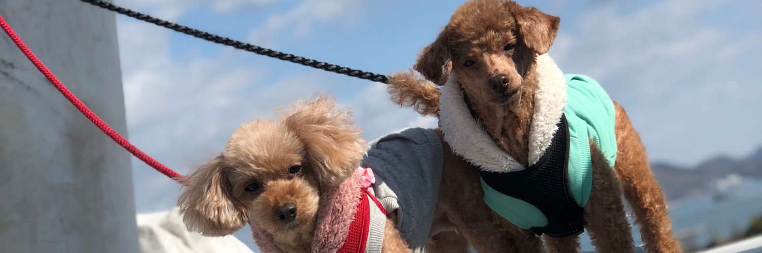 田中 康介/Kosuke Tanaka banner