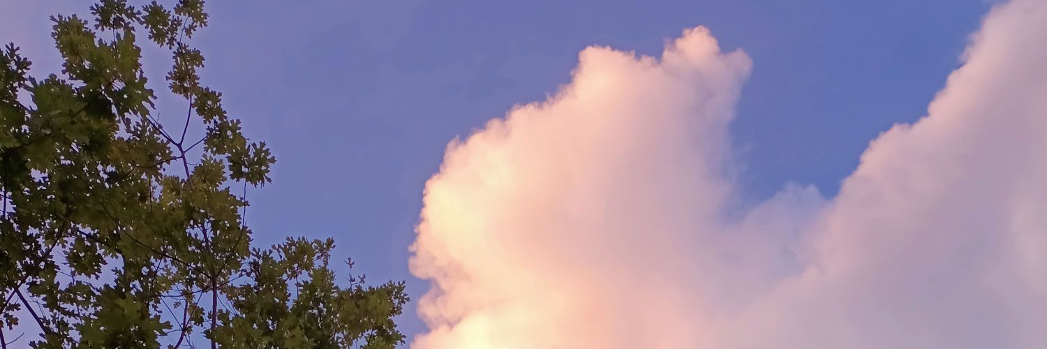 ciprezty's profile banner image