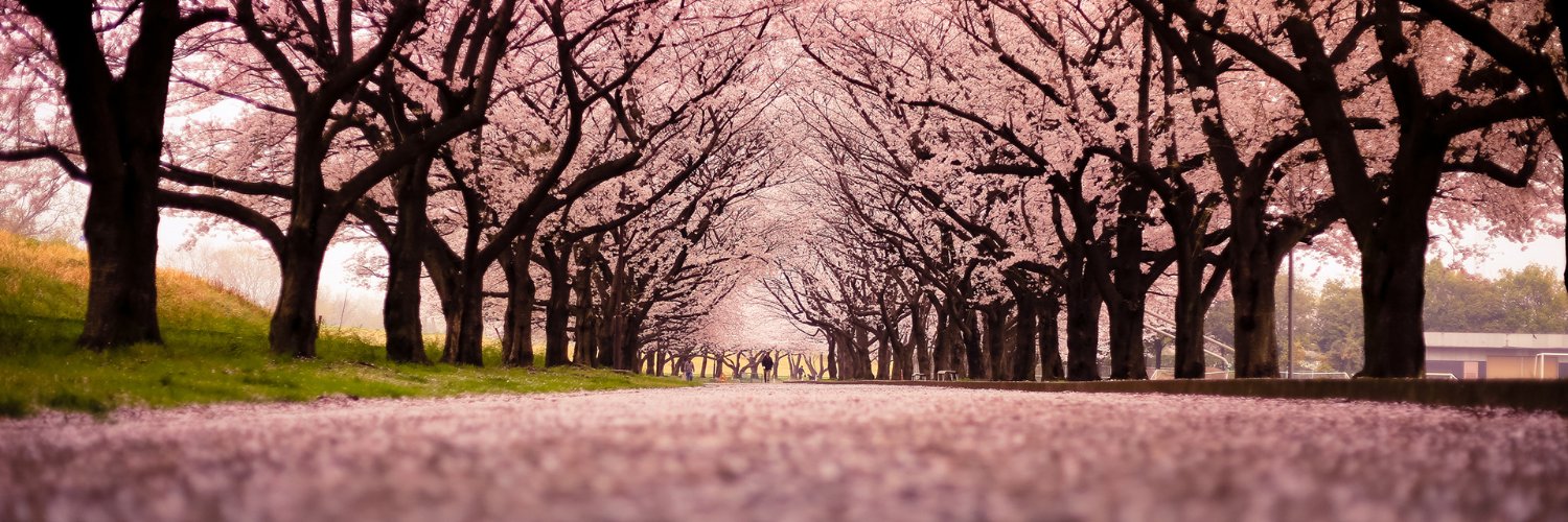 Suba_Parthi's profile banner image